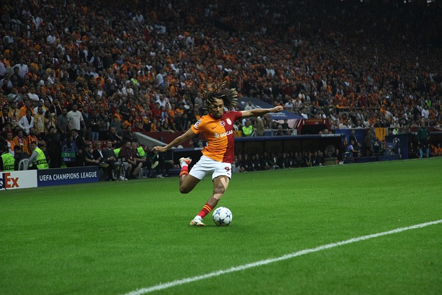 也顯示出老 也顯示出老